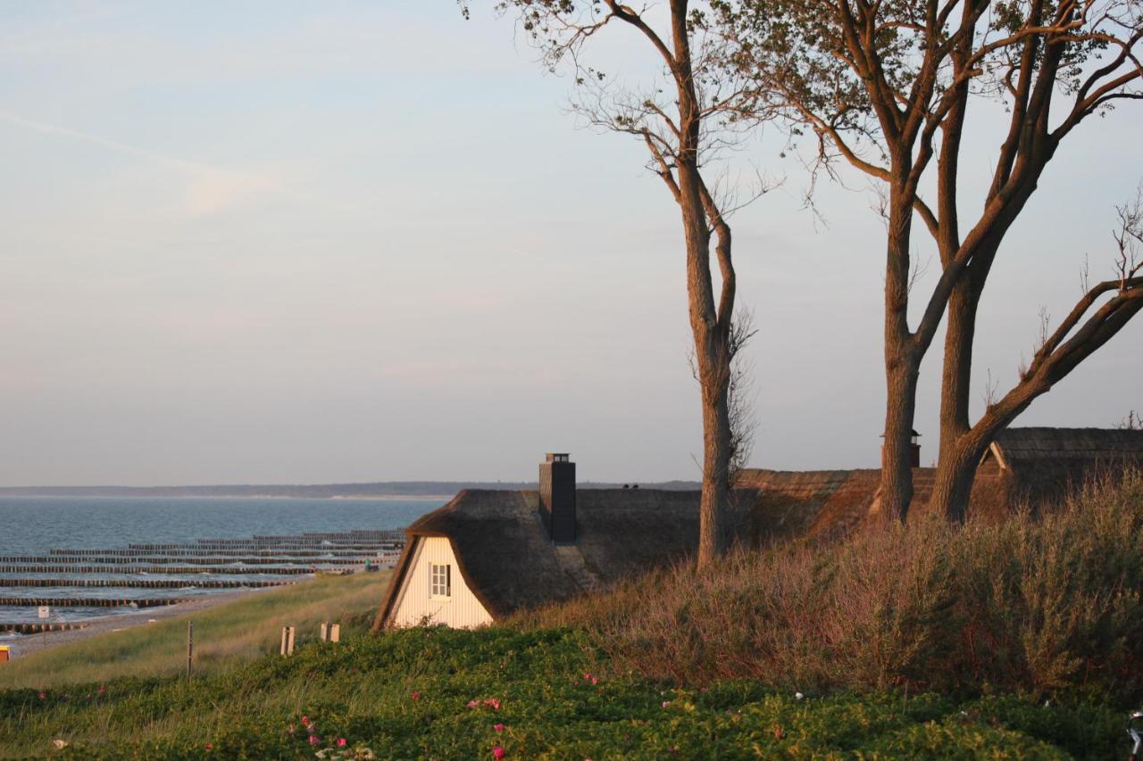 Dat Dardel Hus Born Exterior photo
